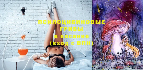дживик Алексеевка