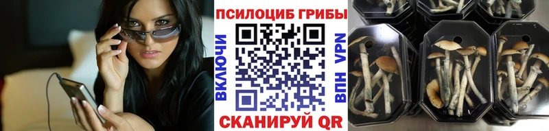 Псилоцибиновые грибы MAGIC MUSHROOMS Карабаш